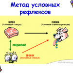 Иллюстрация №7: ВВЕДЕНИЕ В ПАТОФИЗИОЛОГИЮ (Презентации - Медицина).